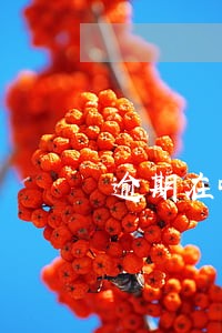 逾期在哪里可以快速借钱 逾期在哪里可以快速借钱