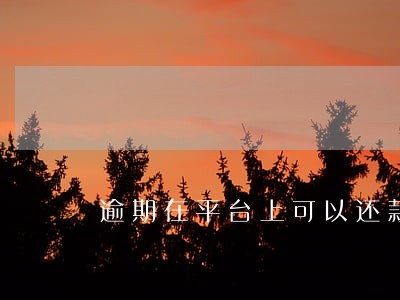 逾期在平台上可以还款吗 逾期在平台上可以还款吗