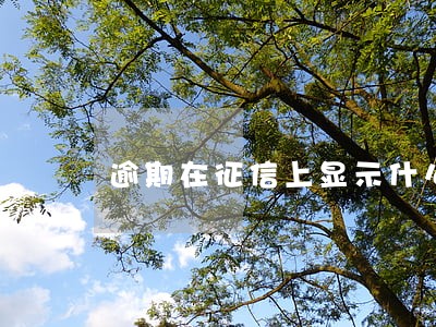 逾期在征信上显示什么 逾期在征信上显示什么