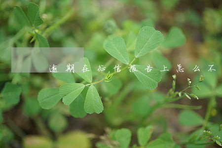 逾期在征信报告上怎么不显示 逾期在征信报告上怎么不显示