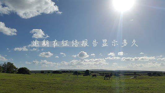逾期在征信报告显示多久 逾期在征信报告显示多久