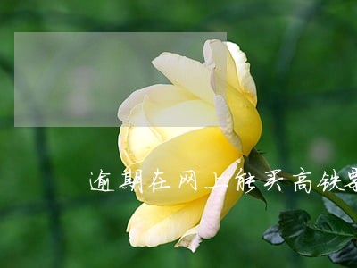 逾期在网上能买高铁票吗 逾期在网上能买高铁票吗
