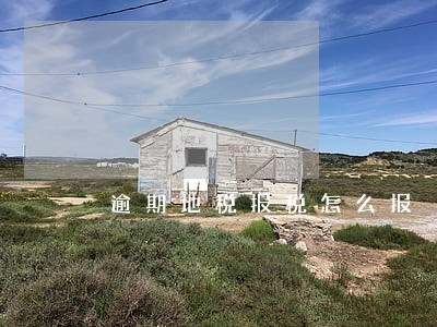 逾期地税报税怎么报 逾期地税报税怎么报