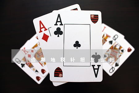 逾期地税补报怎么报 逾期地税补报怎么报