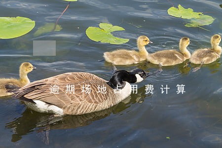 逾期场地占用费计算 逾期场地占用费计算