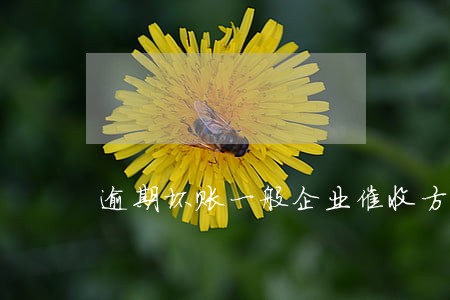 逾期坏账一般企业催收方式 逾期坏账一般企业催收方式