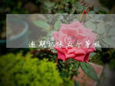 逾期坏账五个等级 逾期坏账五个等级