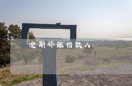 逾期坏账借款人 逾期坏账借款人