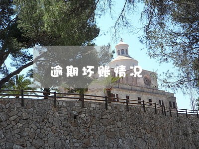 逾期坏账情况 逾期坏账情况