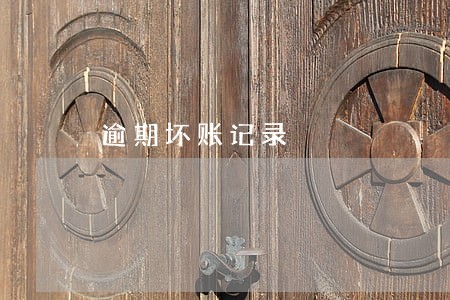 逾期坏账记录