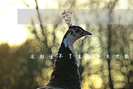 逾期坐不了高铁多久才能恢复 逾期坐不了高铁多久才能恢复