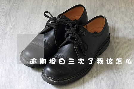 逾期坦白三次了我该怎么办 逾期坦白三次了我该怎么办