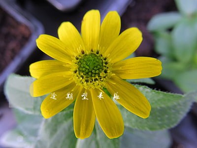 逾期型呆账 逾期型呆账