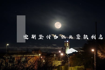 逾期垫付合伙出资款利息 逾期垫付合伙出资款利息