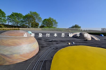逾期垫付本息的平台 逾期垫付本息的平台