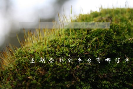 逾期垫付的平台有哪些平台 逾期垫付的平台有哪些平台