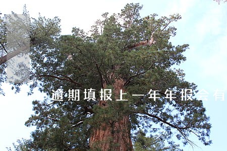 逾期填报上一年年报会有什么后果 逾期填报上一年年报会有什么后果