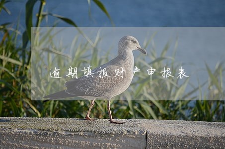 逾期填报财产申报表 逾期填报财产申报表