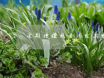 逾期增值税专用发票发生退货 逾期增值税专用发票发生退货