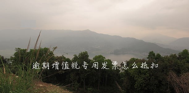 逾期增值税专用发票怎么抵扣 逾期增值税专用发票怎么抵扣