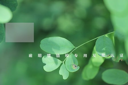 逾期增值税专用发票认证不抵扣 逾期增值税专用发票认证不抵扣