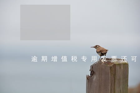 逾期增值税专用发票还可以勾选吗 逾期增值税专用发票还可以勾选吗