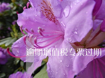 逾期增值税专票过期 逾期增值税专票过期