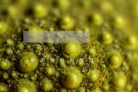 逾期增值税冲红 逾期增值税冲红