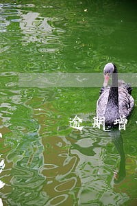 逾期增值税冲销 逾期增值税冲销