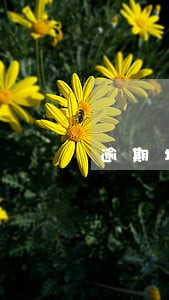 逾期增值税凭证怎么抵扣税 逾期增值税凭证怎么抵扣税