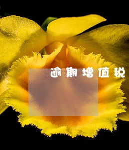逾期增值税凭证怎么抵税 逾期增值税凭证怎么抵税