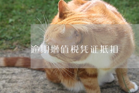 逾期增值税凭证抵扣 逾期增值税凭证抵扣