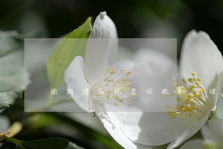 逾期增值税凭证抵扣管理办法 逾期增值税凭证抵扣管理办法