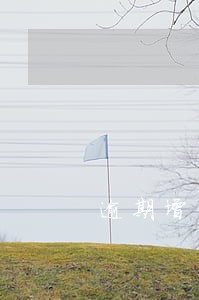 逾期增值税凭证继续认证 逾期增值税凭证继续认证