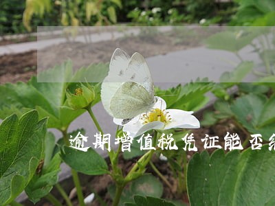 逾期增值税凭证能否继续认证 逾期增值税凭证能否继续认证