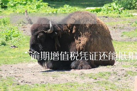 逾期增值税凭证还能抵扣吗 逾期增值税凭证还能抵扣吗