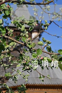 逾期增值税凭证还能认证吗 逾期增值税凭证还能认证吗