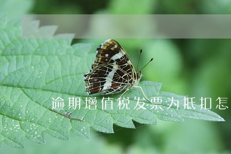 逾期增值税发票为抵扣怎么办 逾期增值税发票为抵扣怎么办