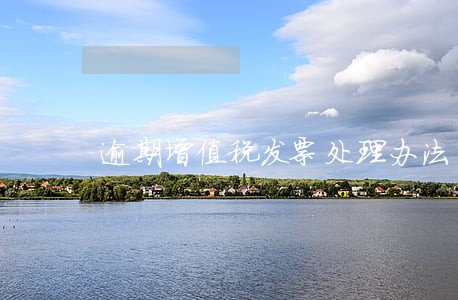 逾期增值税发票处理办法 逾期增值税发票处理办法