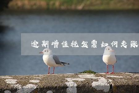 逾期增值税发票如何走账 逾期增值税发票如何走账