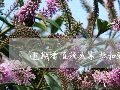 逾期增值税发票抵扣新规 逾期增值税发票抵扣新规