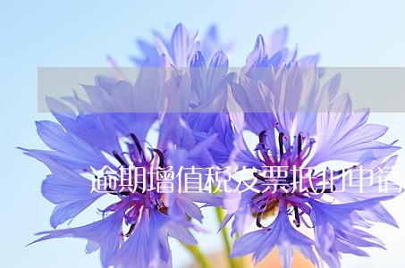 逾期增值税发票抵扣申请表 逾期增值税发票抵扣申请表
