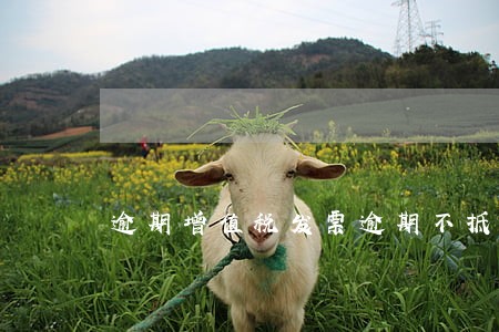逾期增值税发票逾期不抵扣 逾期增值税发票逾期不抵扣