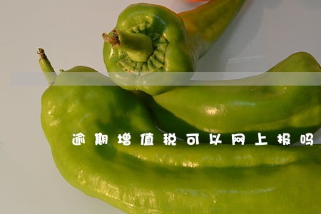 逾期增值税可以网上报吗 逾期增值税可以网上报吗