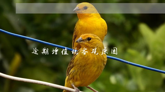 逾期增值税客观原因 逾期增值税客观原因