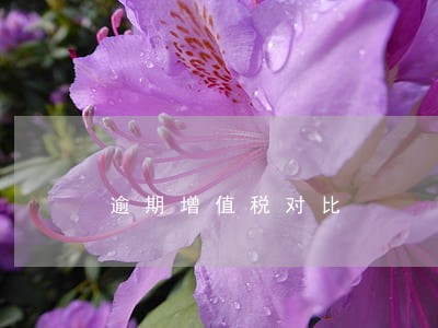 逾期增值税对比 逾期增值税对比