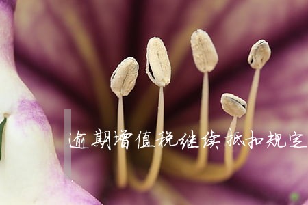 逾期增值税继续抵扣规定