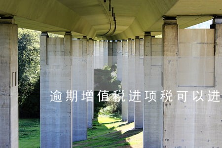 逾期增值税进项税可以进费用 逾期增值税进项税可以进费用