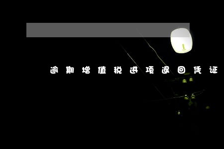 逾期增值税进项退回凭证