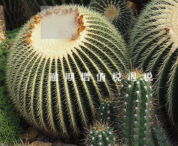 逾期增值税退税 逾期增值税退税